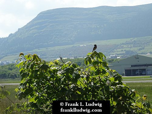 Strandhill